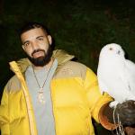 artist image Drake feat. Rick Ross Money In The Grave The Best In The World Pack - Single