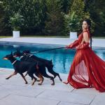 artist image Cardi B / Kanye West / Lil Durk Hot Shit (feat. Ye & Lil Durk) Hot Shit - Single