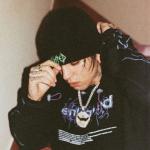 artist image BAD BOY LIFE n DEATCH ZVP MUSIC C.R.O - MDBCrew Vol 1