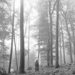 album image august folklore