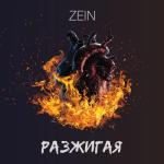 album image Разжигая (Alex Rogov Remix) Разжигая - Single