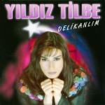 album image Sevemedim ayriligi Delikanlım